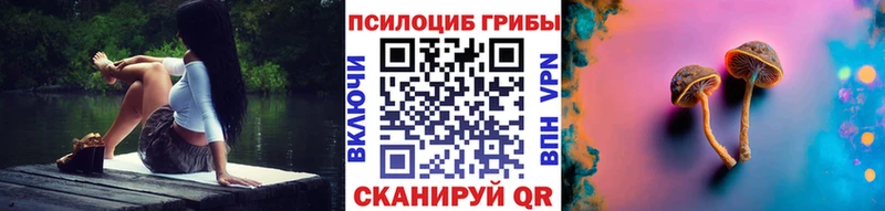 Псилоцибиновые грибы Magic Shrooms  Раменское 